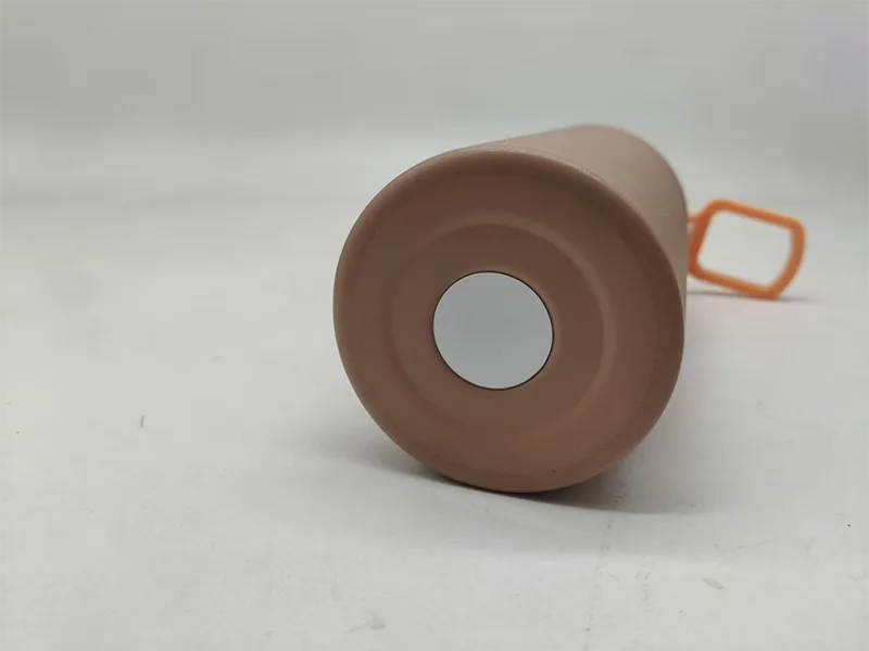 Insulated Water Bottle